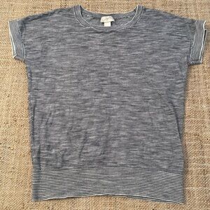 Ann Taylor Loft Striped Short Sleeve Knit Sweater Top Blue White Small